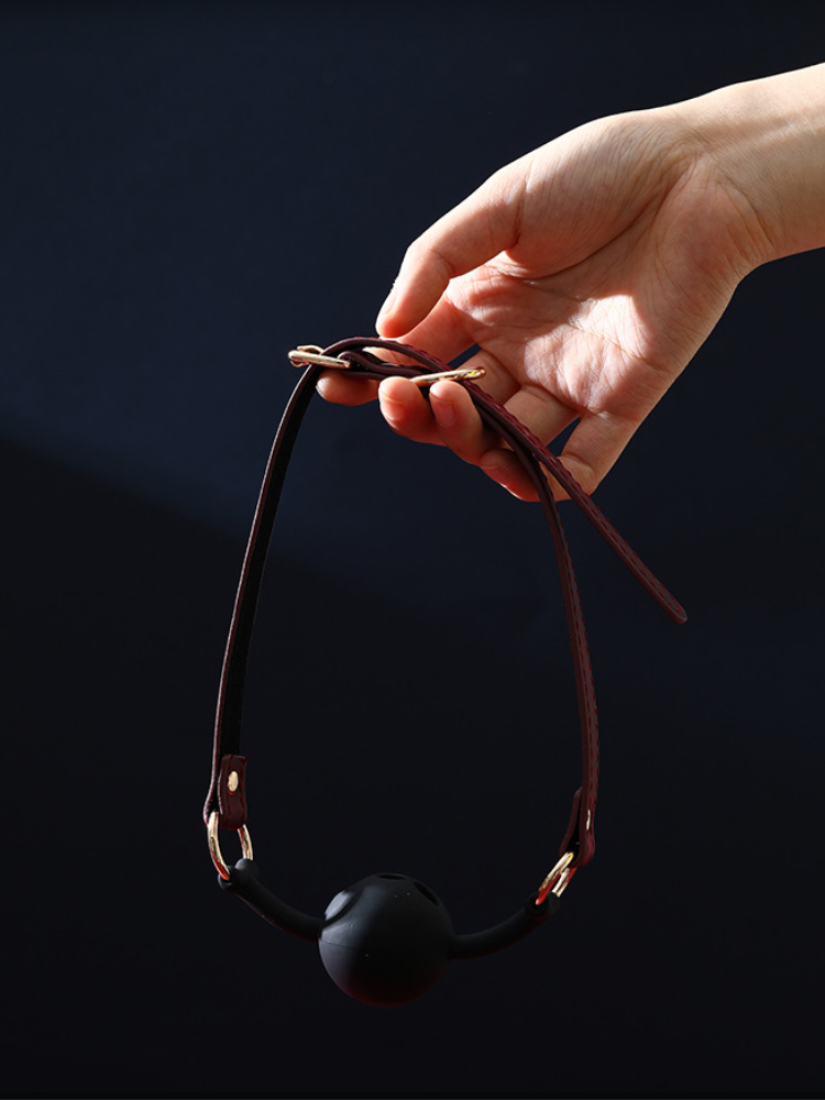 WildRed Ball Gag